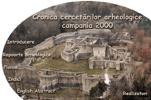 Cronica cercetrilor arheologice campania 2000