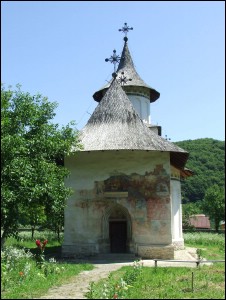 Lăcaşuri de cult din România; Biserica Sfânta Cruce; Biserica Înălţarea Sf. Cruci; ; 1487; necesită restaurare; 1487; ; Biserică; ortodox; Orthodox; orthodoxe; PĂTRĂUŢI; PĂTRĂUŢI; Suceava; Protopopiatul Suceava; Arhiepiscopia Sucevei şi a Rădăuţilor; Mitropolia Moldovei şi Bucovinei; 