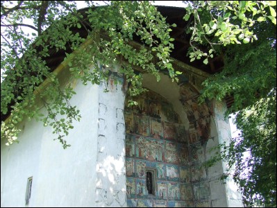 Lăcaşuri de cult din România; Biserica Tăierea Capului Sf. Ioan Botezătorul; ; ; 1502-1503; 1502; 1503; Biserică; ortodox; Orthodox; orthodoxe; ARBORE; ARBORE; Suceava; Protopopiatul Rădăuţi; Arhiepiscopia Sucevei şi a Rădăuţilor; Mitropolia Moldovei şi Bucovinei; 