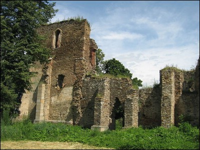 Lăcaşuri de cult din România; Ruinele catedralei catolice Sf. Fecioară; ; ; 1410; 1410; ; Catedrală; catolic; Catholic; catholique; BAIA; BAIA; Suceava; ; Episcopia romano-catolică Iaşi; Biserica Romano-Catolică din România; 