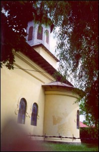 Lcauri de cult din Romnia; Biserica Cuvioasa Paraschiva; ; ; 1836; 1836; ; Biseric; ortodox; Orthodox; orthodoxe; ROIORI DE VEDE; ; Teleorman; Protopopiatul Roiorii de Vede; Episcopia Alexandriei si Teleormanului; Mitropolia Munteniei i Dobrogei; 