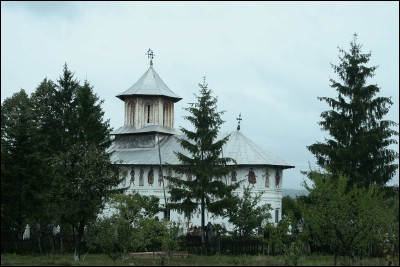Lăcaşuri de cult din România; Biserica Sf. Ioan Botezătorul; ; ; 1797; 1797; ; Biserică; ortodox; Orthodox; orthodoxe; TÂRGU GÂNGULEŞTI, oraş BERBEŞTI; ; Vâlcea; Protopopiatul Râmnicu Vâlcea; Episcopia Râmnicului; Mitropolia Olteniei; 