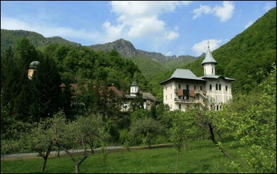 Lăcaşuri de cult din România; Mănăstirea Intrarea Maicii Domnului în Biserică” Turnu; Mănăstirea Turnu; ; 1676, 1933; 1676; 1933; Mănăstire; ortodox; Orthodox; orthodoxe; TURNU, oraş CĂLIMĂNEŞTI; ; Vâlcea; Protopopiatul Râmnicu Vâlcea; Episcopia Râmnicului; Mitropolia Olteniei; 