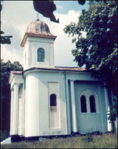 Lăcaşuri de cult din România; Biserica Sf. Gheorghe; ; ; 1854; 1854; ; Biserică; ortodox; Orthodox; orthodoxe; TĂCUTA; TĂCUTA; Vaslui; Protoieria Vaslui; Episcopia Huşilor; Mitropolia Moldovei şi Bucovinei; 