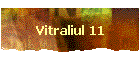 Vitraliul 11