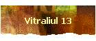 Vitraliul 13