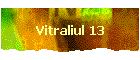 Vitraliul 13