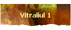 Vitraliul 1