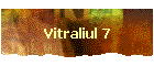 Vitraliul 7