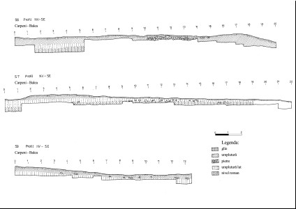 Figura11