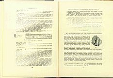 00486.1933.3-4.pag118-pag119.jpg