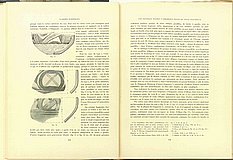 00494.1933.3-4.pag134-pag135.jpg