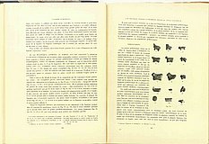 00500.1933.3-4.pag146-pag147.jpg