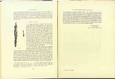 00539.1933.3-4.pag224-pag225.jpg