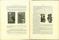 00647.1933.3-4.pag442-pag443.a.jpg