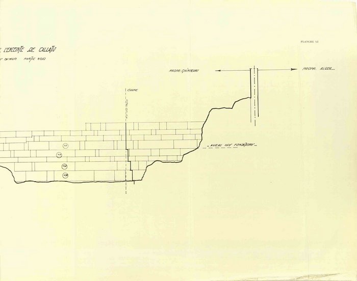 01498.1938.5-6.plansaXI.jpg