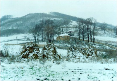 Lăcaşuri de cult din România; Biserica de lemn Sf. Voievozi; ; ; 1825; 1774; ; Biserică de lemn; ortodox; Orthodox; orthodoxe; TISA SILVESTRI; SECUIENI; Bacău; Protopopiatul Bacău Sud; Episcopia Romanului; Mitropolia Moldovei şi Bucovinei; 