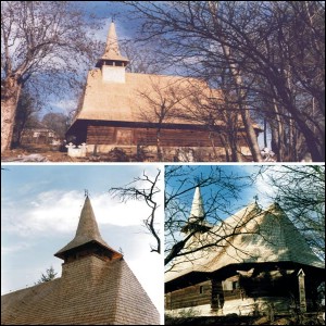 Lăcaşuri de cult din România; Biserica de lemn Sfinţii Arhangheli Mihail şi Gavril; ; ; 1757; ; ; Biserică de lemn; ortodox; Orthodox; orthodoxe; RUNCU SALVEI; SALVA; Bistriţa Năsăud; ; Arhiepiscopia Vadului, Feleacului şi Clujului; Mitropolia Clujului, Albei, Crişanei şi Maramureşului; 