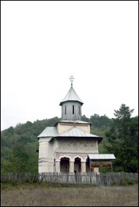 Lăcaşuri de cult din România; Biserica Sf. Împăraţi Constantin şi Elena; ; ; 1817; 1817; ; Biserică; ortodox; Orthodox; orthodoxe; FRASIN; VLADIMIR; Gorj; Protopopiatul Târgu Jiu; Arhiepiscopia Craiovei; Mitropolia Olteniei; 