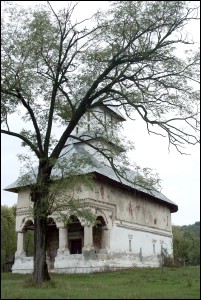 Lăcaşuri de cult din România; Biserica Sfântul Nicolae; Biserica Frasin Scoica; ; 1808; 1808; 1808; Biserică; ortodox; Orthodox; orthodoxe; FRASIN-SCOICA; VLADIMIR; Gorj; Protopopiatul Târgu Jiu; Arhiepiscopia Craiovei; Mitropolia Olteniei; 