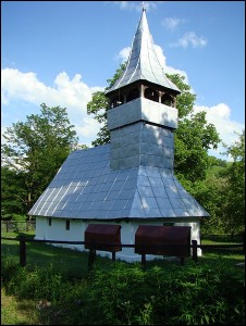 Lăcaşuri de cult din România; Biserica de lemn Întâmpinarea Domnului; ; ; 1778; 1778; 1801; Biserică de lemn; ortodox; Orthodox; orthodoxe; BĂRĂŞTII ILIEI; BRĂNIŞCA; Hunedoara; Protopopiatul Deva; Episcopia Aradului; Mitropolia Banatului; 