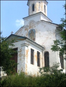 Lăcaşuri de cult din România; Biserica Sf. Nicolae; ; ; 1808; 1808; ; Biserică; ortodox; Orthodox; orthodoxe; TÂMNA; TÂMNA; Mehedinţi; ; Episcopia Severinului şi Strehaiei; Mitropolia Olteniei; 