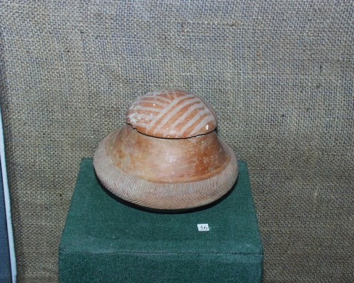 203_10.jpg
