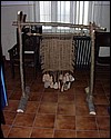 203_15.jpg